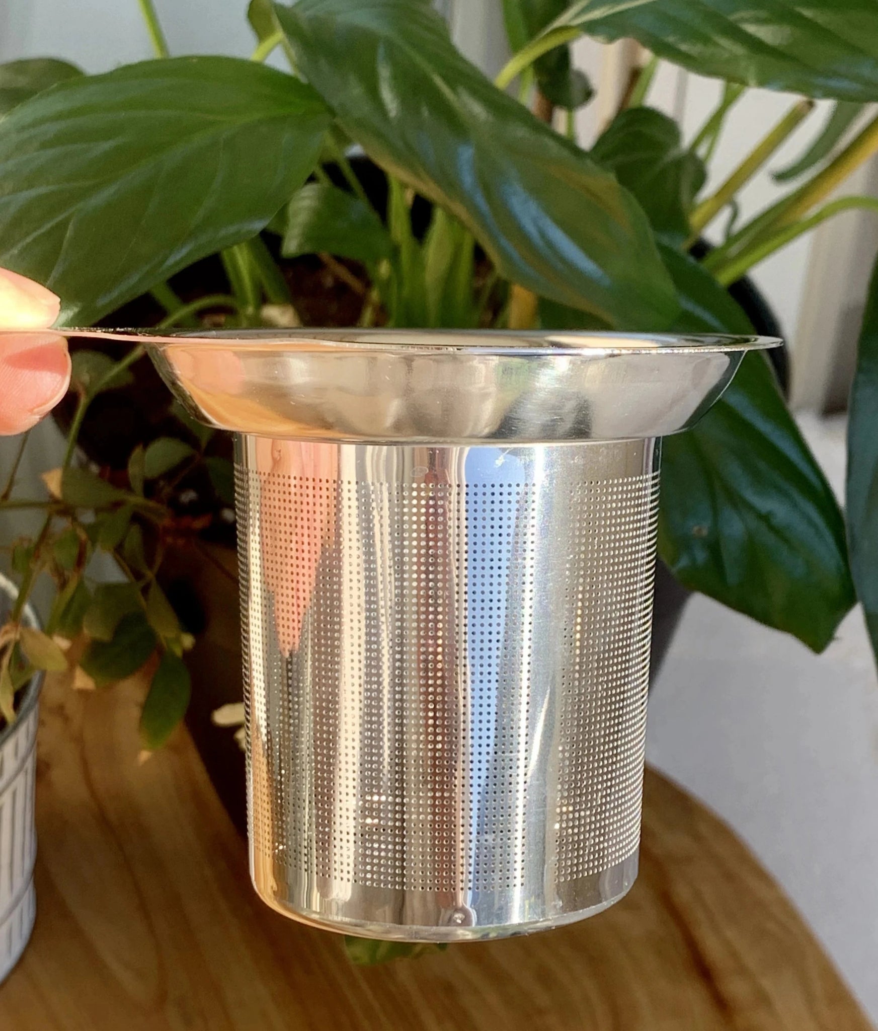 Tea Infuser